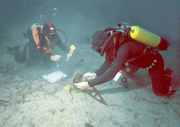 Дайвинг-туристы осваивают подводный «Затерянный остров» недалеко от Стамбула
