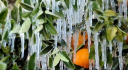 Метеорологи предупредили: первые дни Нового года в Анталии будет холодно