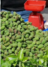 В Аланье на базарах появился Зеленый миндаль - Чаала