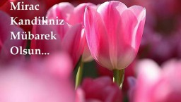 3 мая Турция отмечает Ночь Вознесения Пророка Магомета на Седьмое Небо